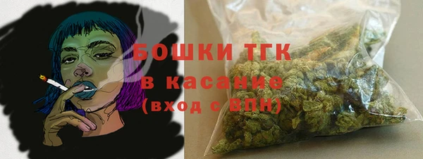 бошки Белокуриха