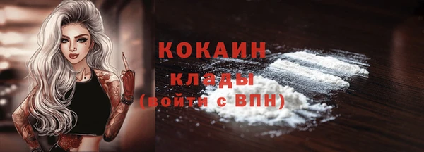 бошки Белокуриха