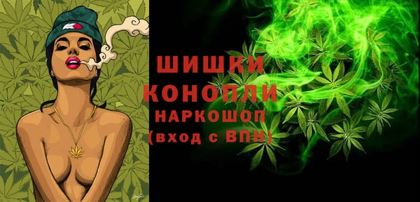 бошки Белокуриха