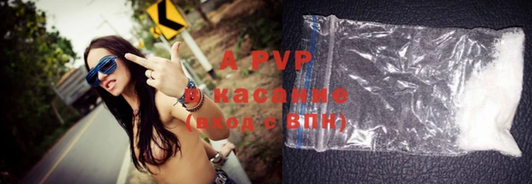 бошки Белокуриха